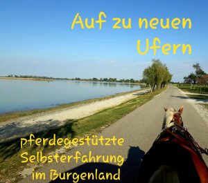 üferdegestütztes Coaching/selbsterfahrung